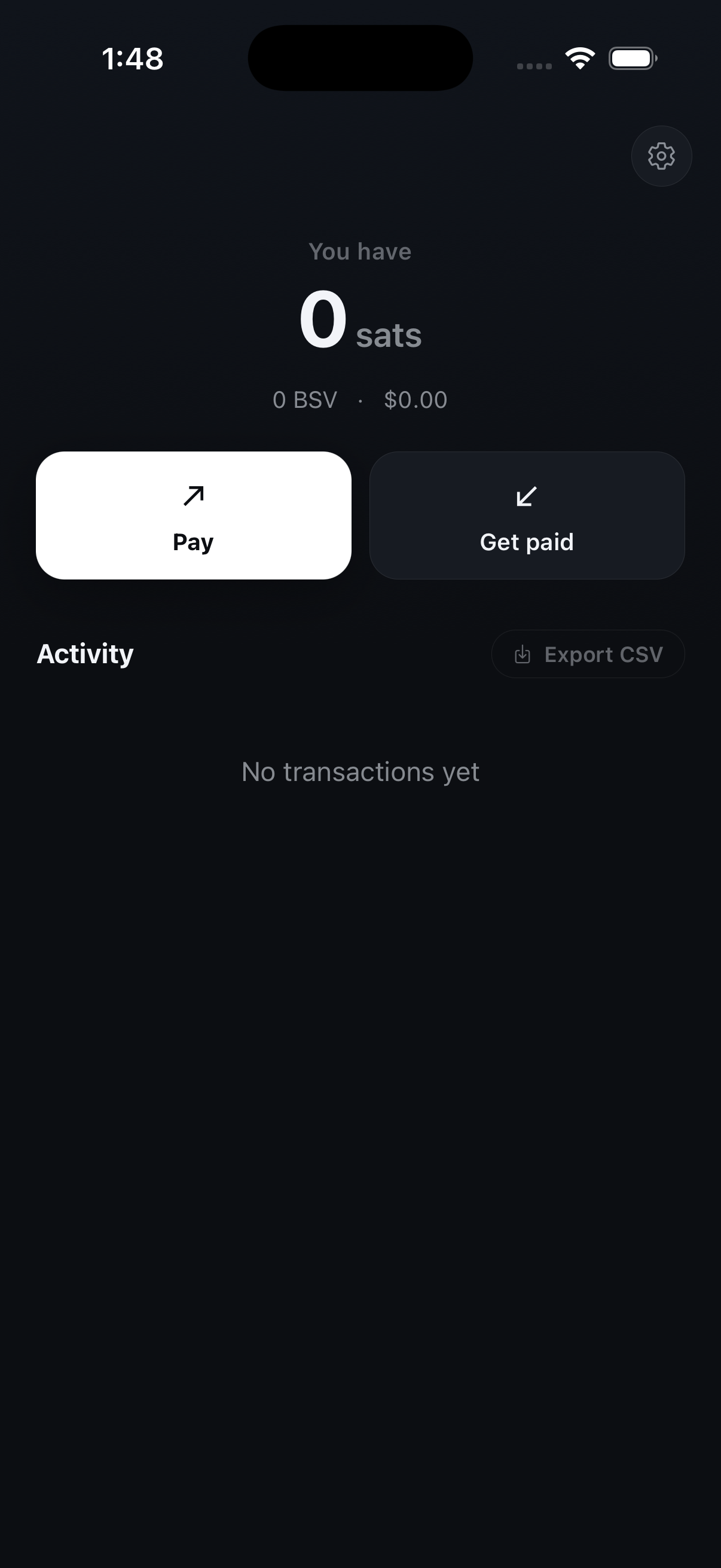 The wallet home screen showing balance, Pay and Get paid buttons, and recent activity