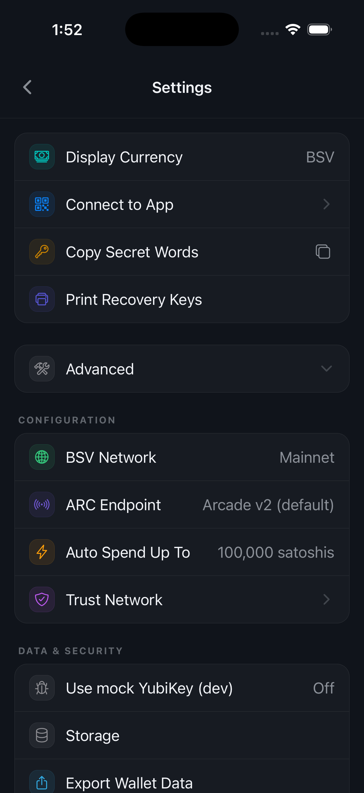 Settings with the Advanced group expanded, showing configuration and data options